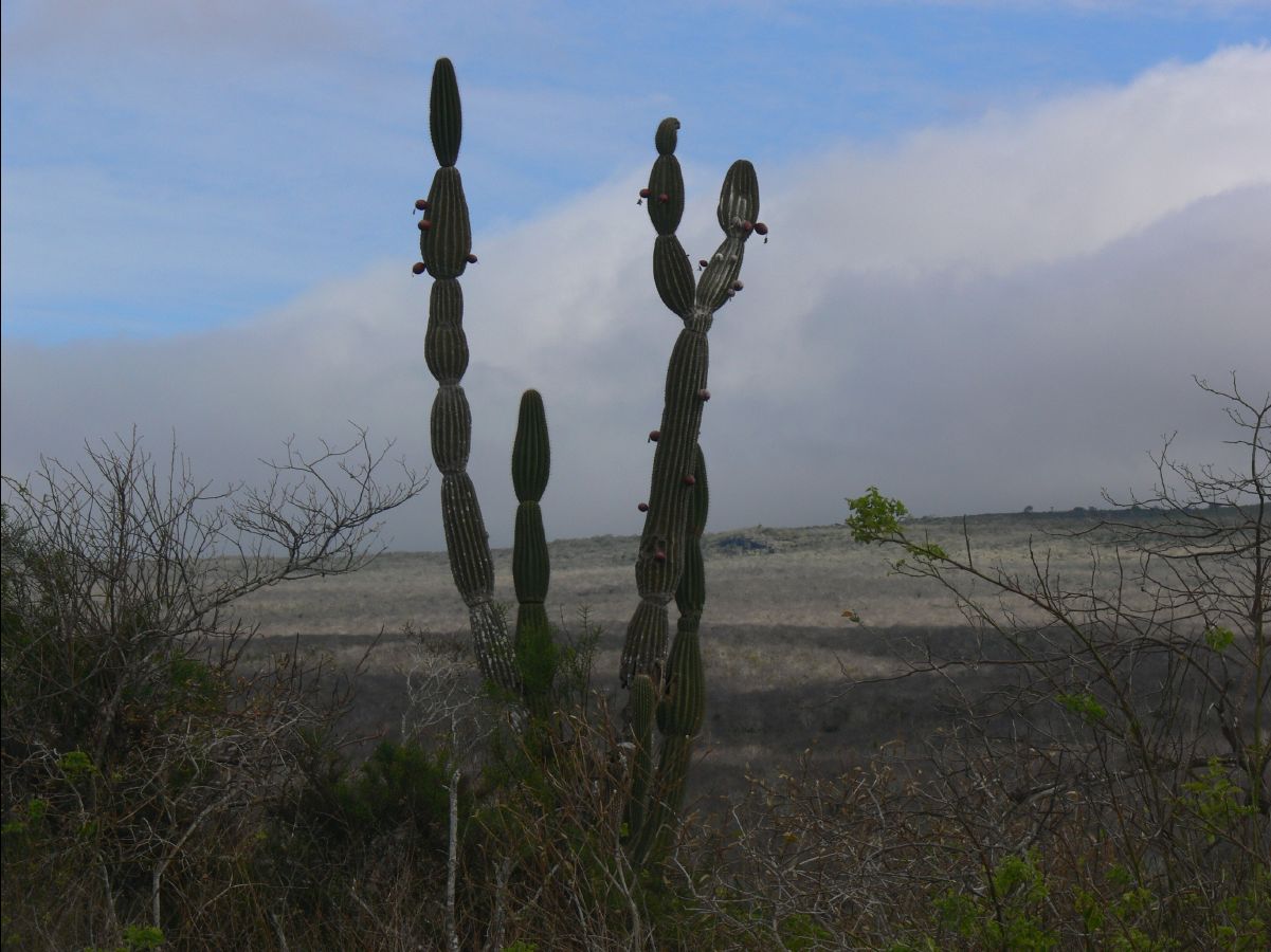 Galapagos Islands16